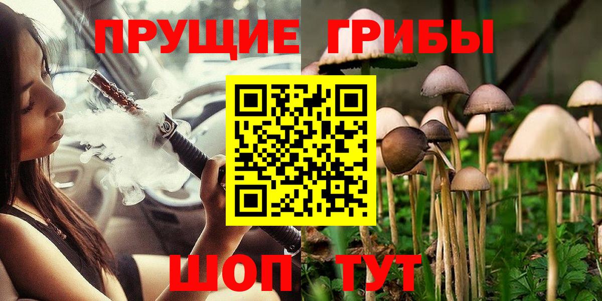 купить закладку  Галлюциногенные грибы Magic Shrooms  Вход с VPN  Алейск 